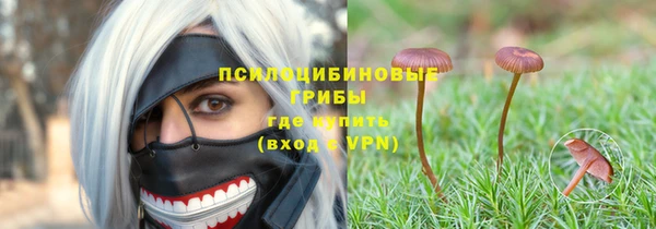 PSILOCYBIN Козловка