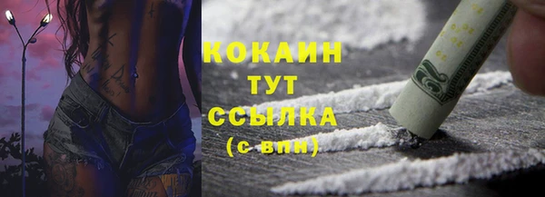 гидропоника Кодинск