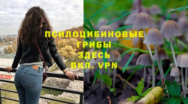 PSILOCYBIN Козловка