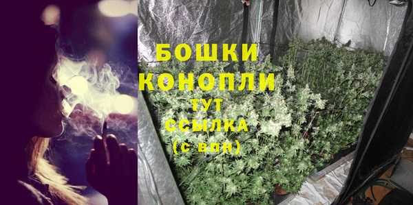 PSILOCYBIN Козловка