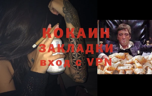 PSILOCYBIN Козловка