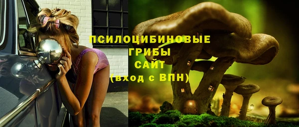 гидропоника Кодинск