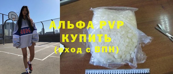 PSILOCYBIN Козловка