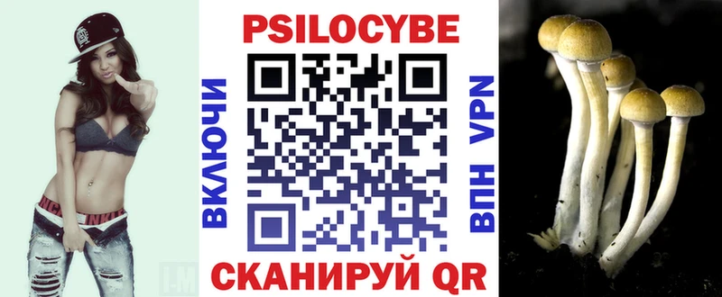 Галлюциногенные грибы GOLDEN TEACHER Купить где Нерюнгри